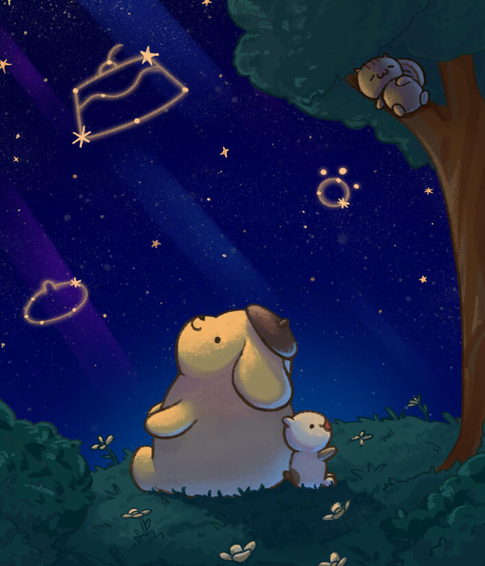 Pom Starry Night