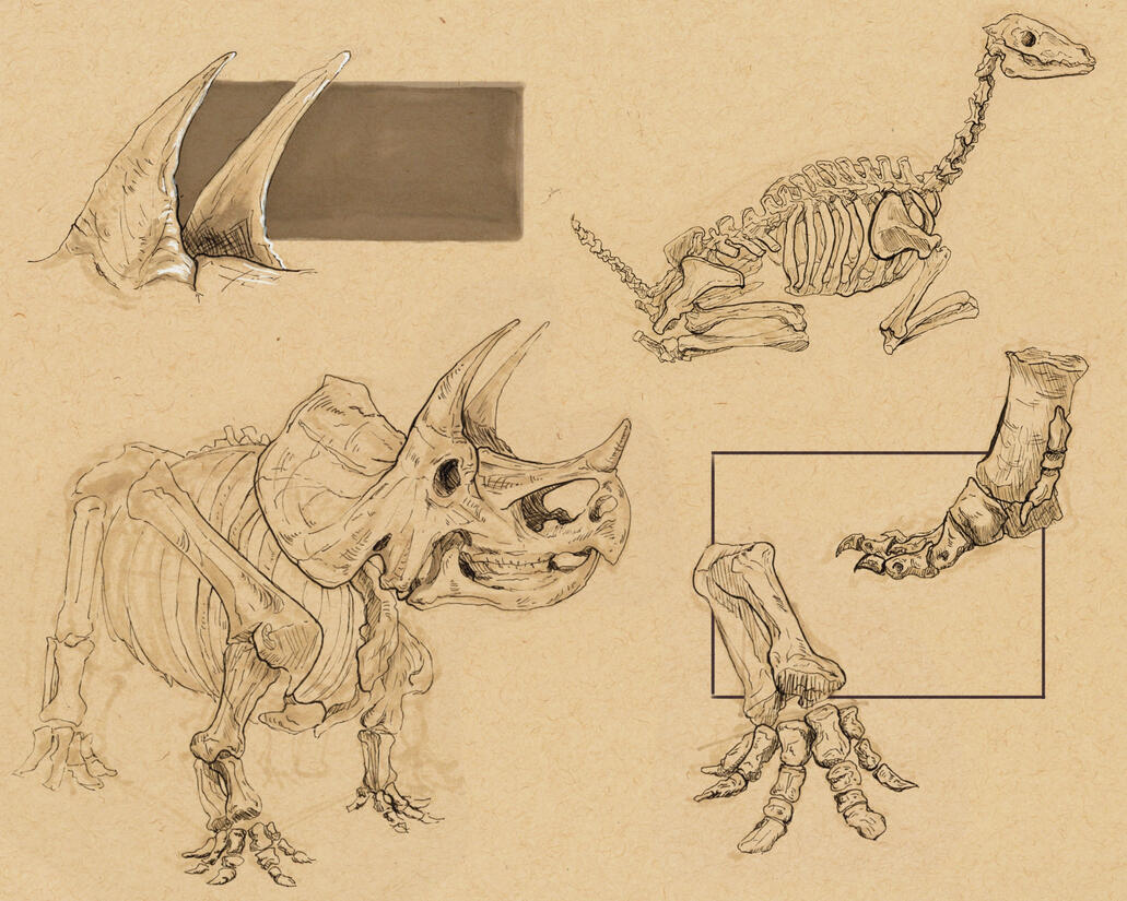 Dino Page